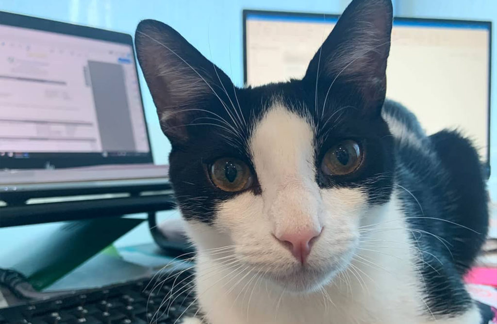 twe web gallery (32)