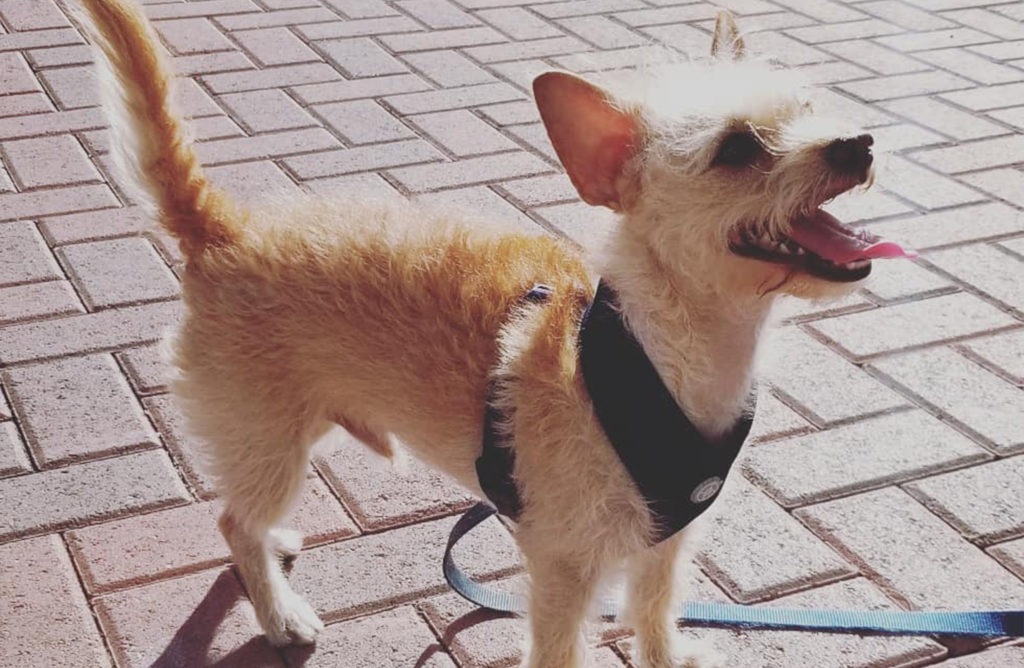 twe web gallery (33)