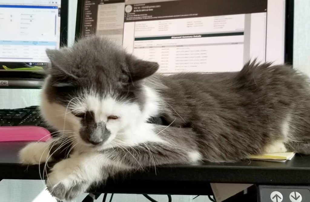 twe web gallery (34)