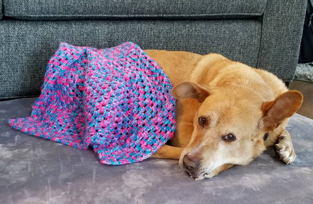 twe web gallery (37)