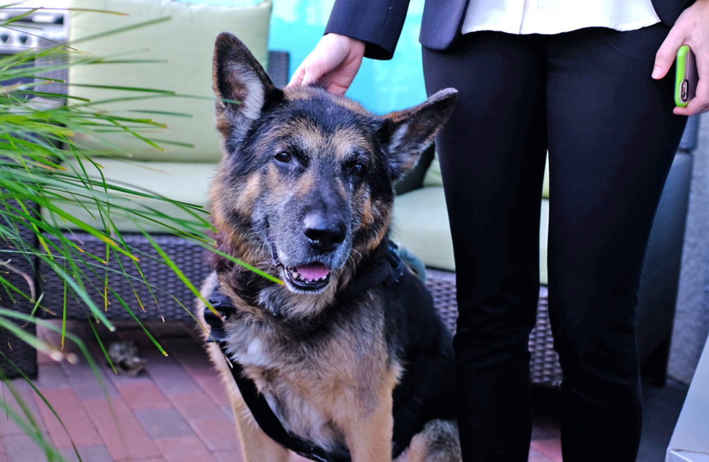 twe web gallery (41)